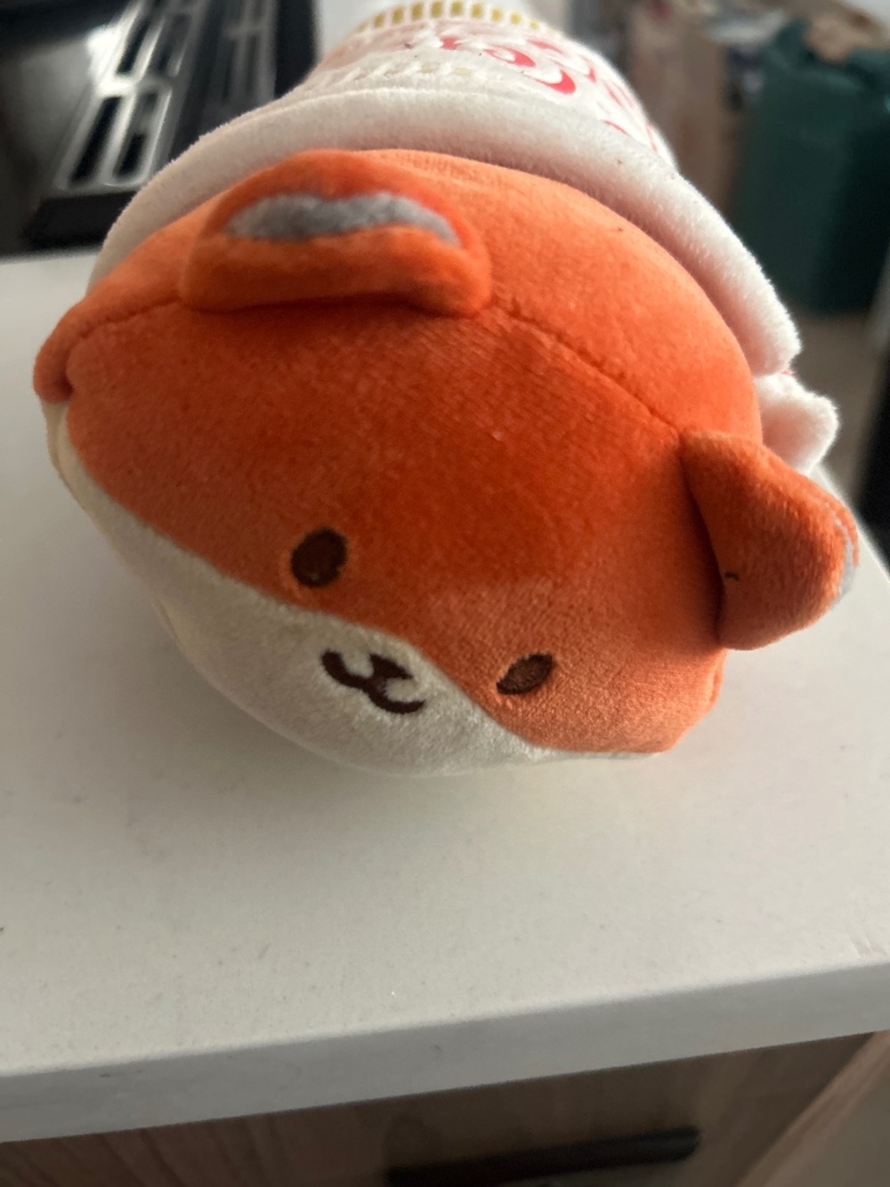 Anirollz fox in soup